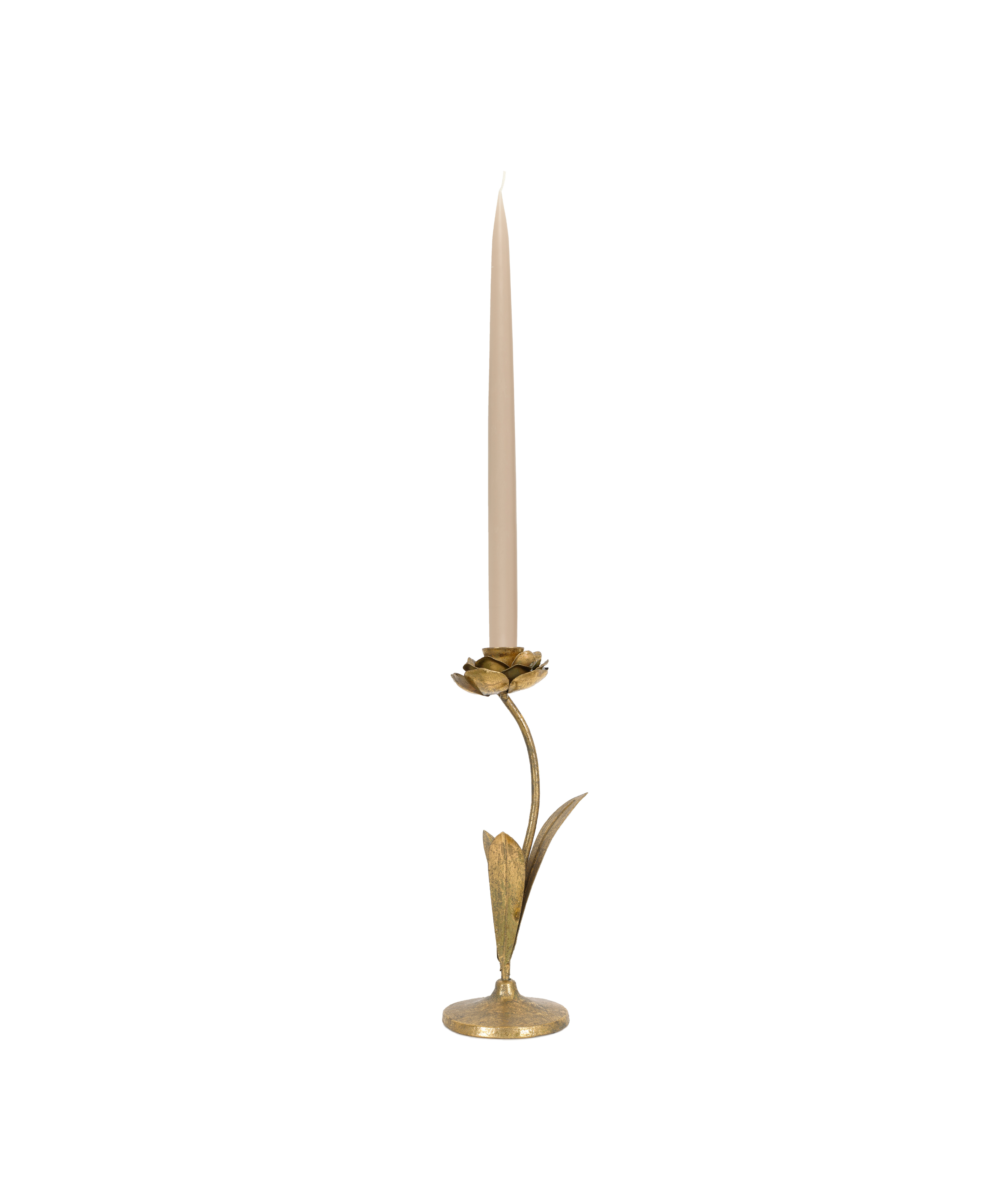 Rebecca Udall, Elegant Brass Hellebore Flower Candlestick Candle Holder