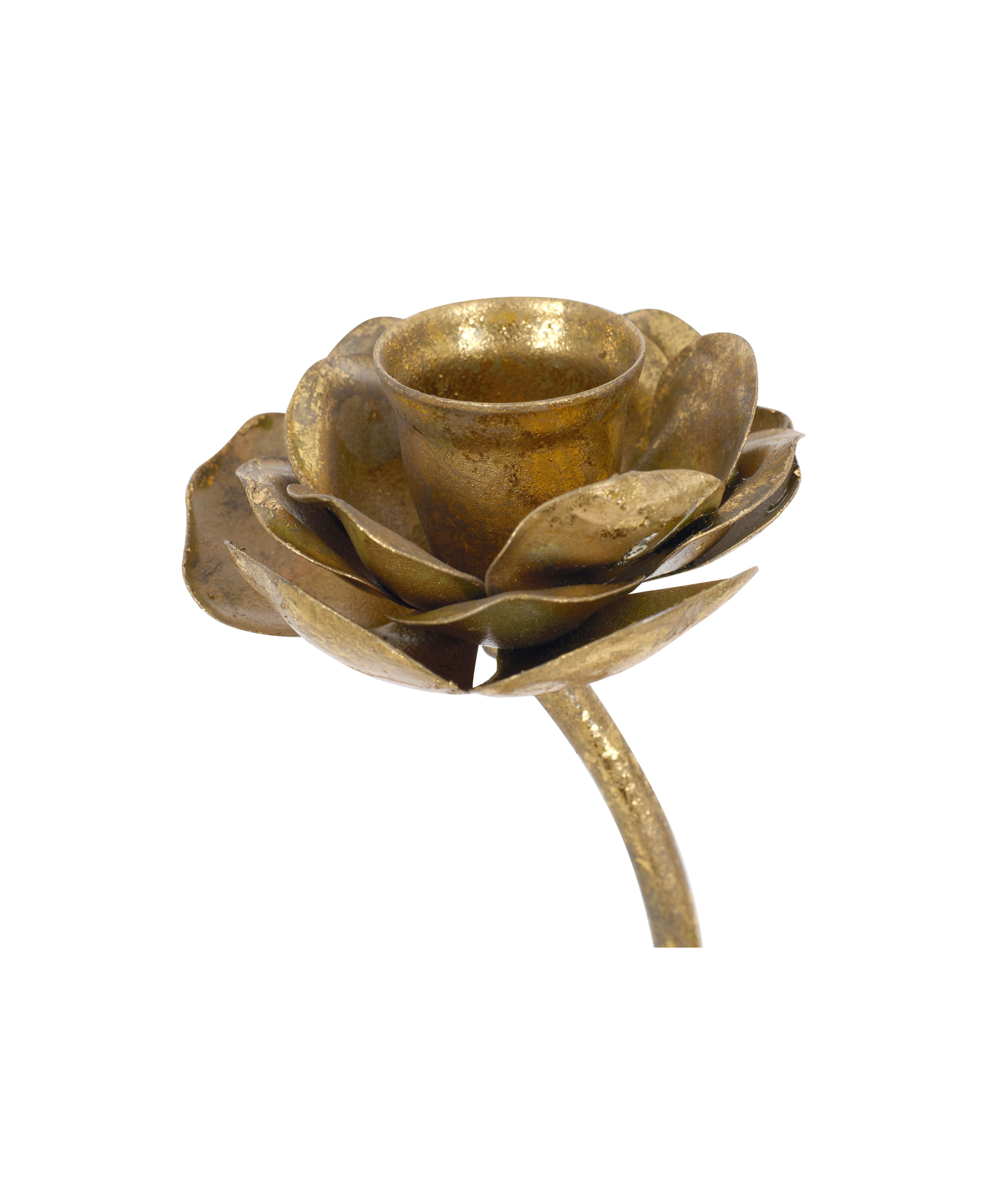 Rebecca Udall, Brass Hellebore Candlestick Candle Holder Flower Detail Close Up