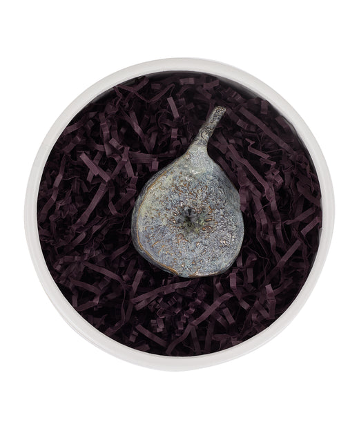 Rebecca Udall Bronze Verdigris Fig Sculpture, Half Packaging