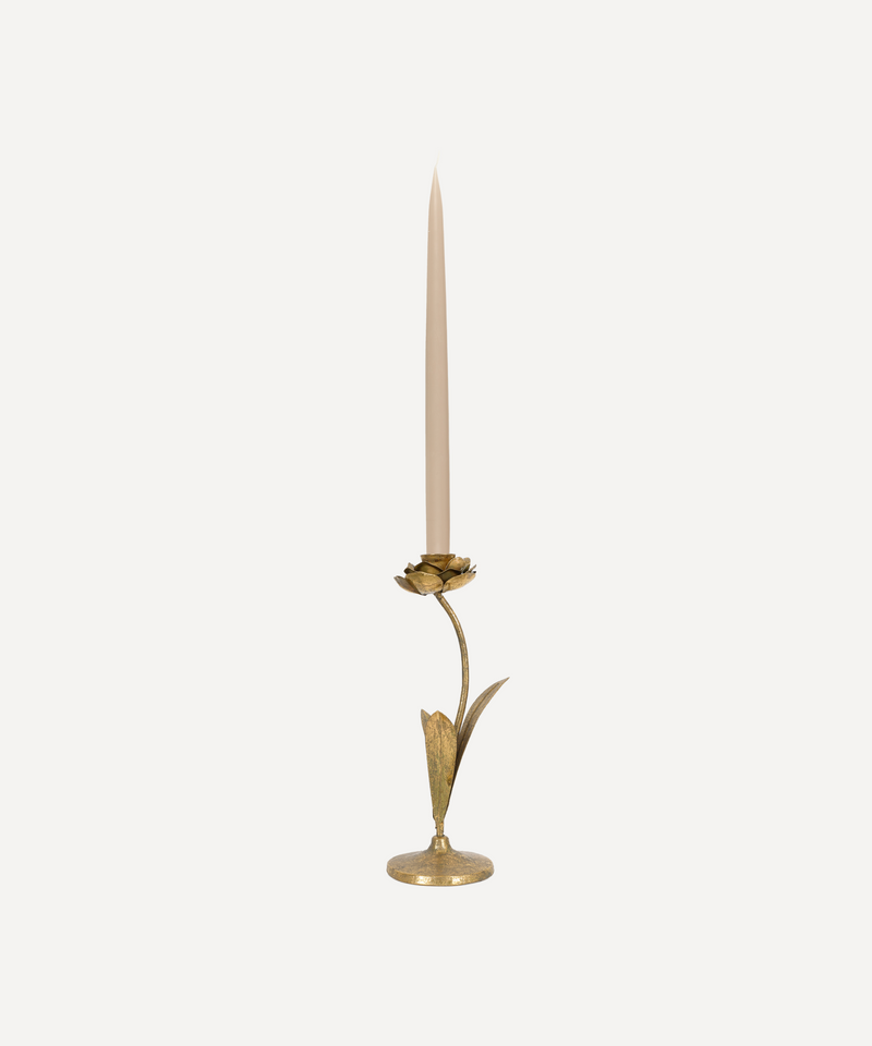 Rebecca Udall, Elegant Brass Hellebore Flower Candlestick Candle Holder 