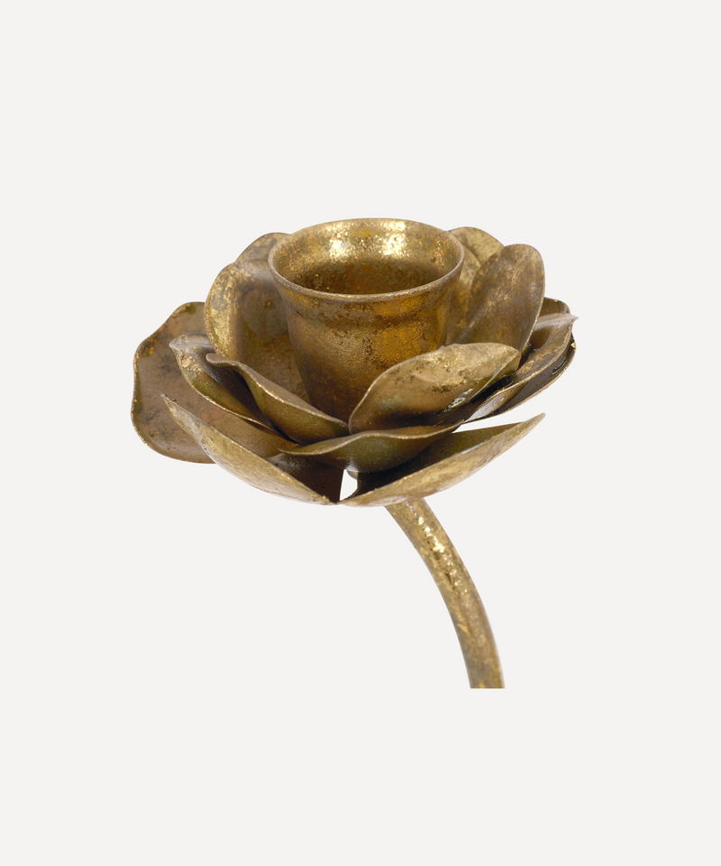 Rebecca Udall, Brass Hellebore Candlestick Candle Holder Flower Detail Close Up