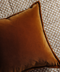 Frances Velvet Cushion, Warm Honey, with Clara