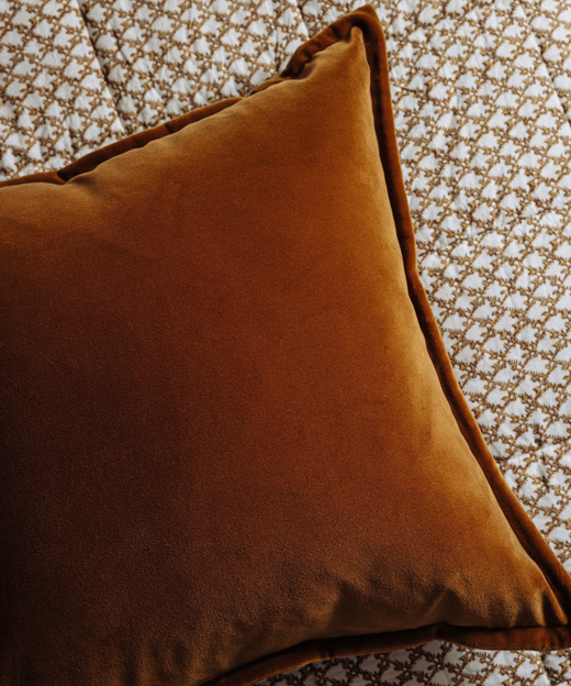 Frances Velvet Cushion, Warm Honey, with Clara
