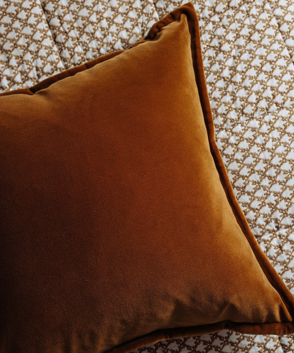 Frances Velvet Cushion, Warm Honey, with Clara