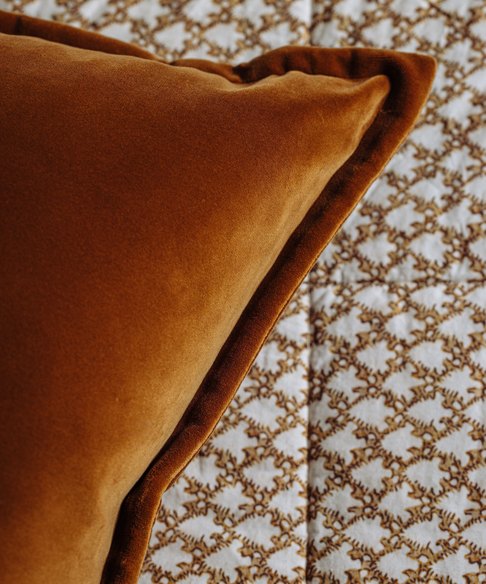 Frances Velvet Cushion, Warm Honey, Lifestyle, Detail