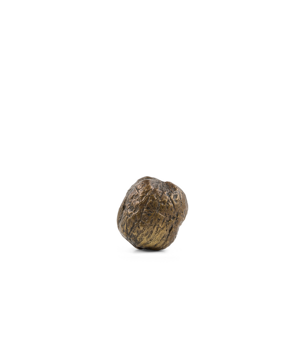 Rebecca Udall, Pomarius bronze Walnut Sculpture