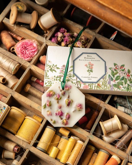Carriere Frere Botanical Palets, Damask Rose