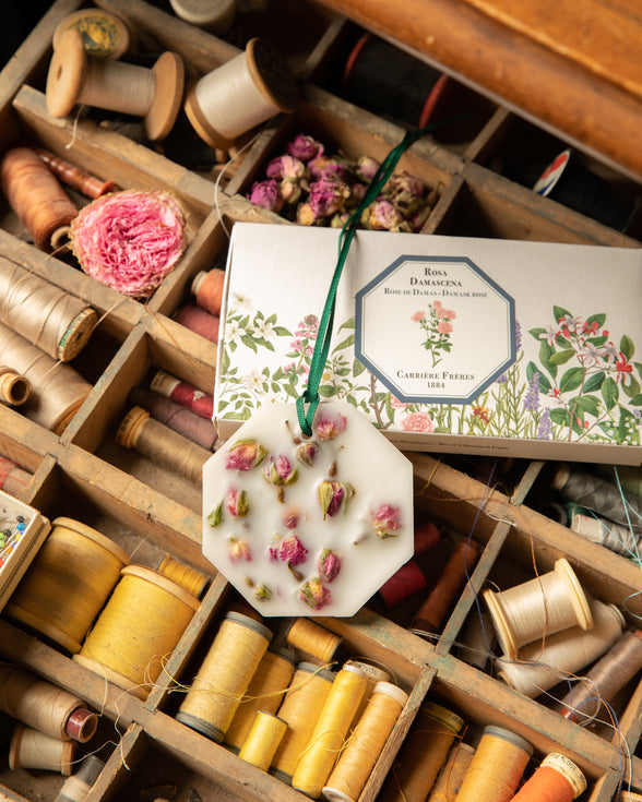 Carriere Frere Botanical Palets, Damask Rose
