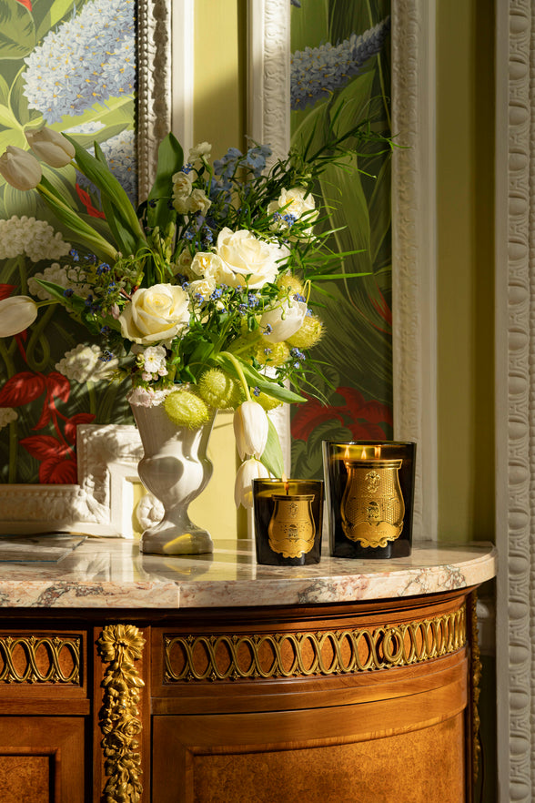 Trudon Classic Scented Candle 270g and 800g, Lifestyle