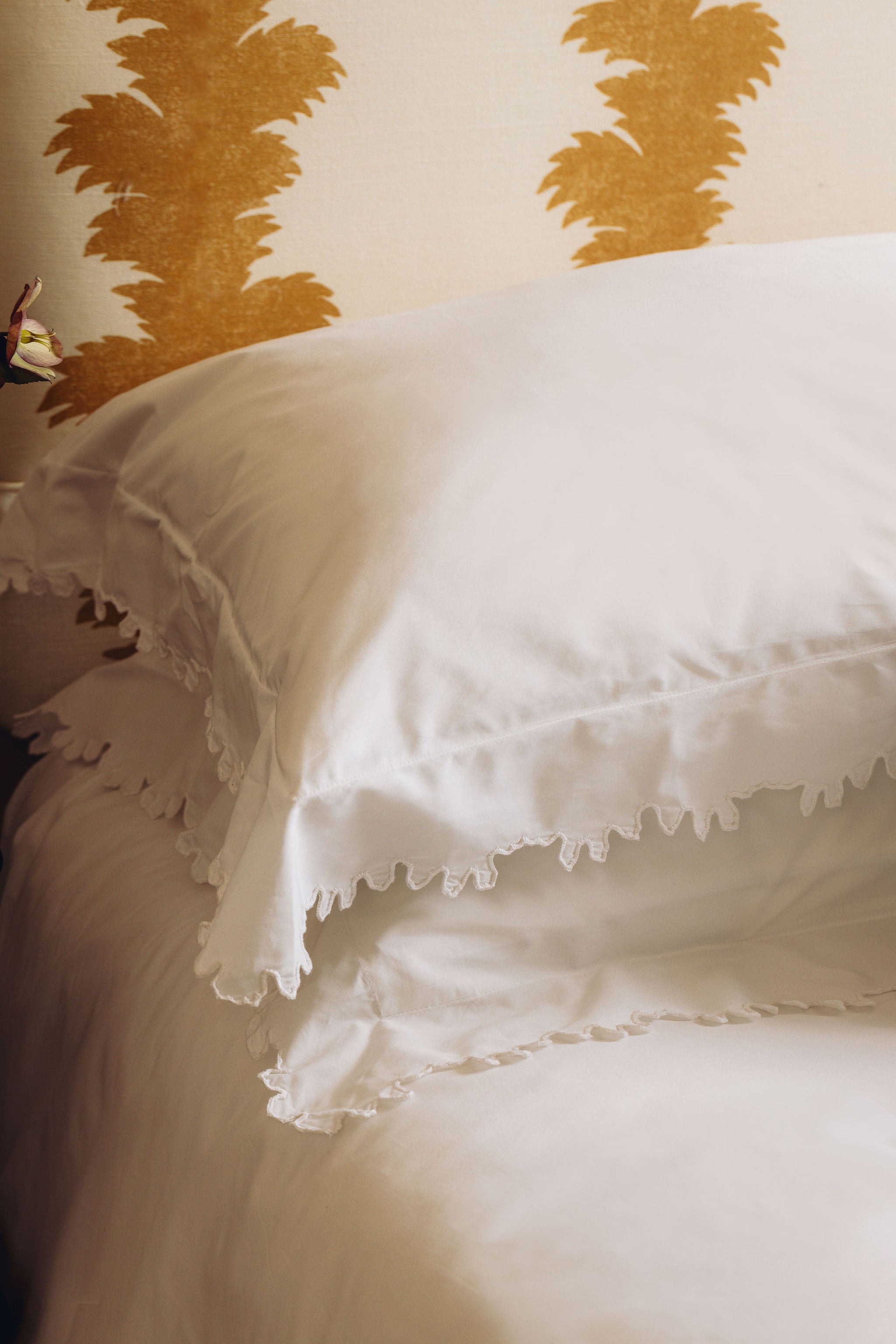 Thea Scalloped Pillowcases, White