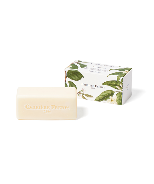 Carriere Freres Solid Soap, Apotheca, with Box