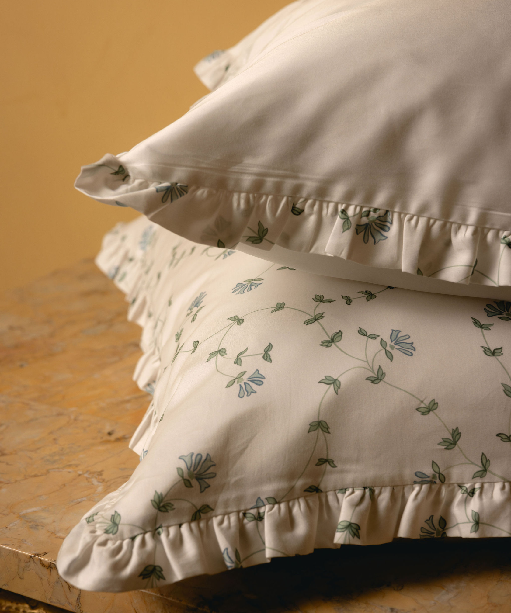 Pair of Rovito Ruffle Pillowcases